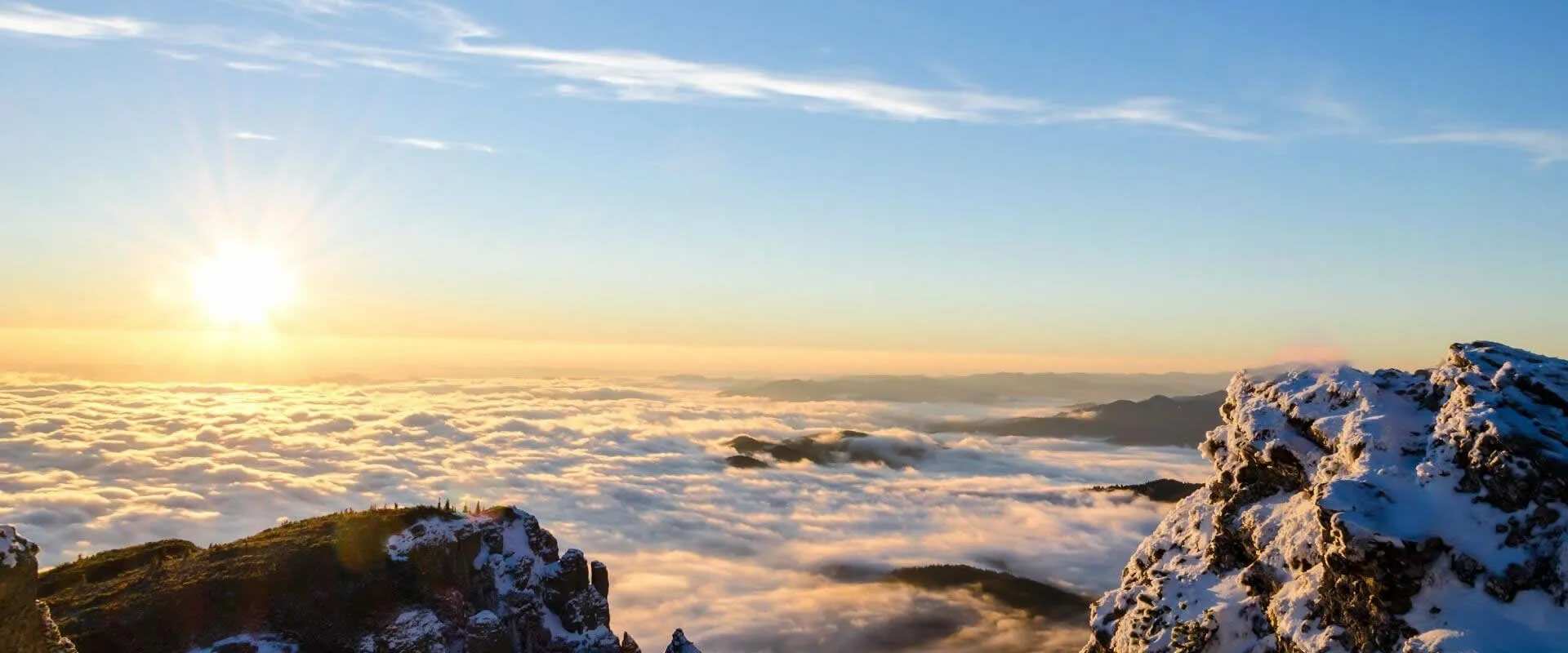 Coordinated with a renowned corporation